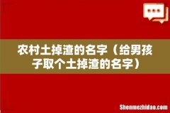 给男孩子取个土掉渣的名字 农村土掉渣的名字