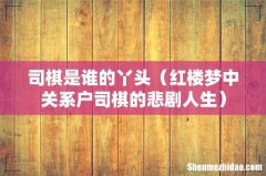 红楼梦中关系户司棋的悲剧人生 司棋是谁的丫头