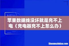 充电器充不上怎么办 苹果数据线没坏就是充不上电