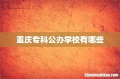 重庆专科公办学校有哪些