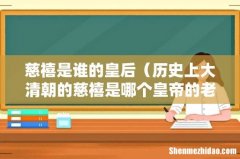 历史上大清朝的慈禧是哪个皇帝的老婆 慈禧是谁的皇后