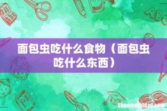面包虫吃什么东西 面包虫吃什么食物