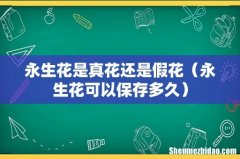 永生花可以保存多久 永生花是真花还是假花