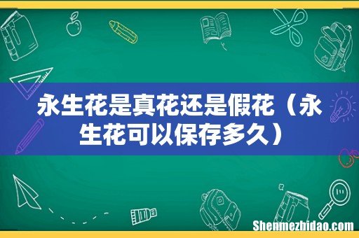 永生花可以保存多久 永生花是真花还是假花