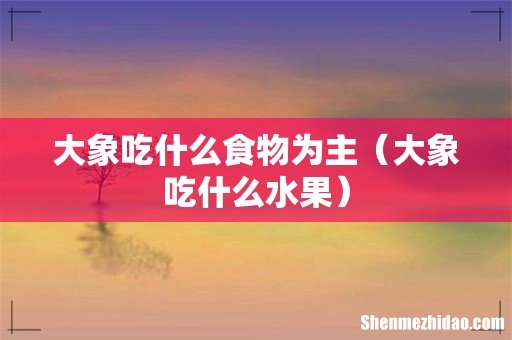 大象吃什么水果 大象吃什么食物为主