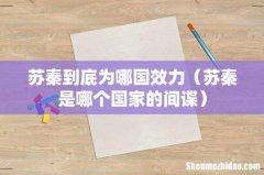 苏秦是哪个国家的间谍 苏秦到底为哪国效力