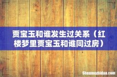 红楼梦里贾宝玉和谁同过房 贾宝玉和谁发生过关系