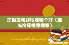 速冻冷库推荐哪家 冻榴莲和鲜榴莲哪个好