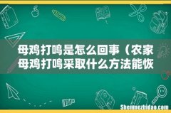 农家母鸡打鸣采取什么方法能恢复正常 母鸡打鸣是怎么回事