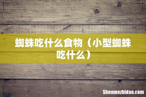 小型蜘蛛吃什么 蜘蛛吃什么食物