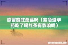 紧急避孕药吃了喝红茶有影响吗 感冒能吃桑葚吗