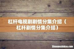 杠杆剧情分集介绍 杠杆电视剧剧情分集介绍