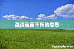 濯清涟而不妖的意思