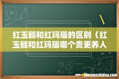 红玉髓和红玛瑙哪个贵更养人 红玉髓和红玛瑙的区别