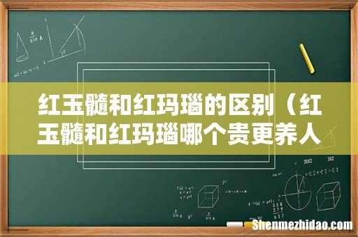 红玉髓和红玛瑙哪个贵更养人 红玉髓和红玛瑙的区别