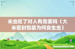 大米密封包装为何会生虫 米虫吃了对人有危害吗