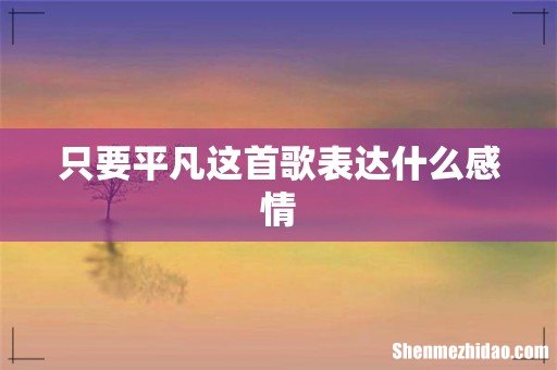 只要平凡这首歌表达什么感情