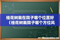 桂花树栽院子哪个方位风水好 桂花树栽在院子哪个位置好