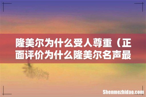 正面评价为什么隆美尔名声最好 隆美尔为什么受人尊重