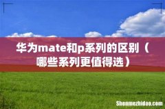 哪些系列更值得选 华为mate和p系列的区别