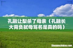 孔融长大背负弑母骂名是真的吗 孔融让梨杀了母亲