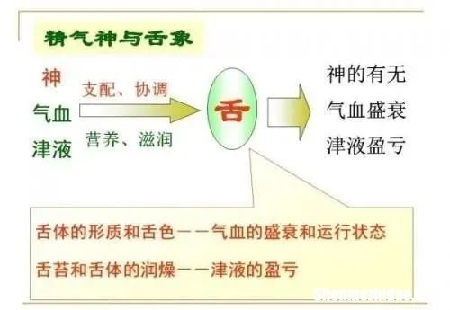 风痰阻络 中风中经络什么意思