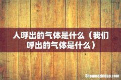 我们呼出的气体是什么 人呼出的气体是什么