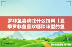 夏季罗非鱼喜欢哪种味型的鱼饵 罗非鱼喜欢吃什么饵料