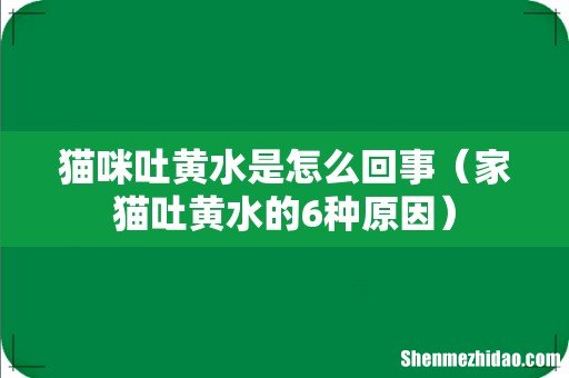 家猫吐黄水的6种原因 猫咪吐黄水是怎么回事