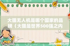 大疆是世界500强之内吗 大疆无人机是哪个国家的品牌