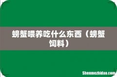 螃蟹饲料 螃蟹喂养吃什么东西