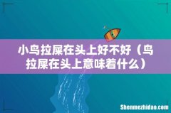 鸟拉屎在头上意味着什么 小鸟拉屎在头上好不好