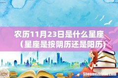 农历11月23日是什么星座（星座是按阴历还是阳历)