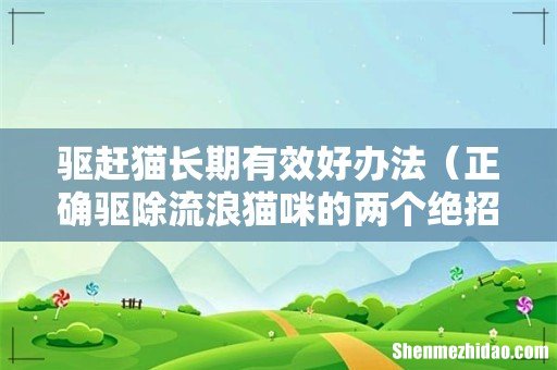 正确驱除流浪猫咪的两个绝招 驱赶猫长期有效好办法