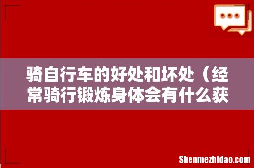 经常骑行锻炼身体会有什么获益 骑自行车的好处和坏处