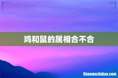 鸡和鼠的属相合不合