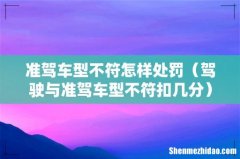 驾驶与准驾车型不符扣几分 准驾车型不符怎样处罚