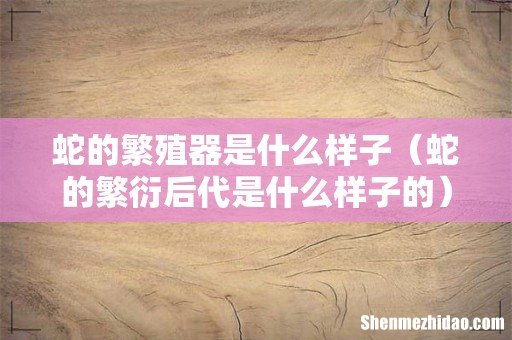蛇的繁衍后代是什么样子的 蛇的繁殖器是什么样子