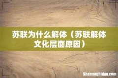 苏联解体文化层面原因 苏联为什么解体