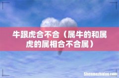 属牛的和属虎的属相合不合属 牛跟虎合不合