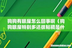 狗狗眼屎特别多还很粘稠是什么原因 狗狗有眼屎怎么回事啊