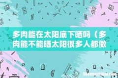 多肉能不能晒太阳很多人都做错了 多肉能在太阳底下晒吗