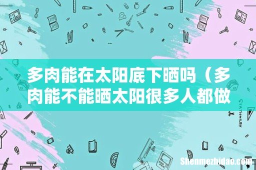多肉能不能晒太阳很多人都做错了 多肉能在太阳底下晒吗