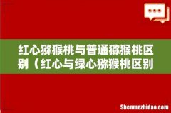 红心与绿心猕猴桃区别 红心猕猴桃与普通猕猴桃区别