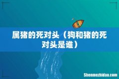 狗和猪的死对头是谁 属猪的死对头