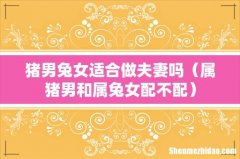 属猪男和属兔女配不配 猪男兔女适合做夫妻吗