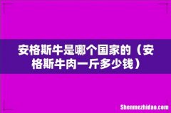 安格斯牛肉一斤多少钱 安格斯牛是哪个国家的