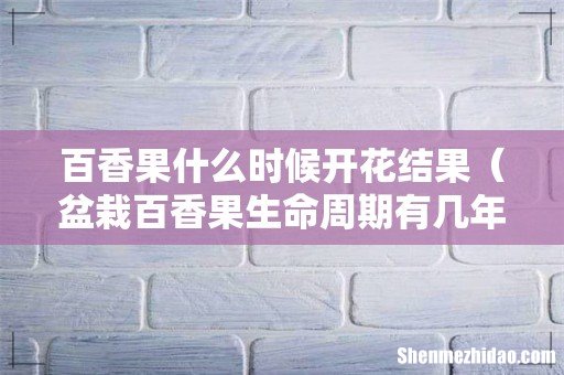 盆栽百香果生命周期有几年 百香果什么时候开花结果
