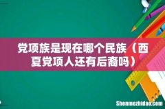 西夏党项人还有后裔吗 党项族是现在哪个民族