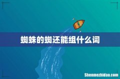 蜘蛛的蜘还能组什么词